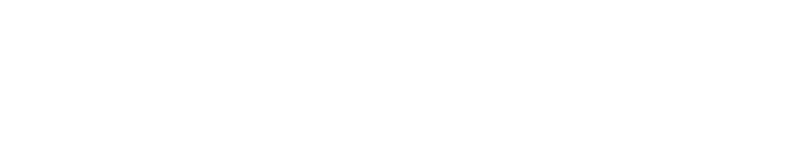 21 Connect